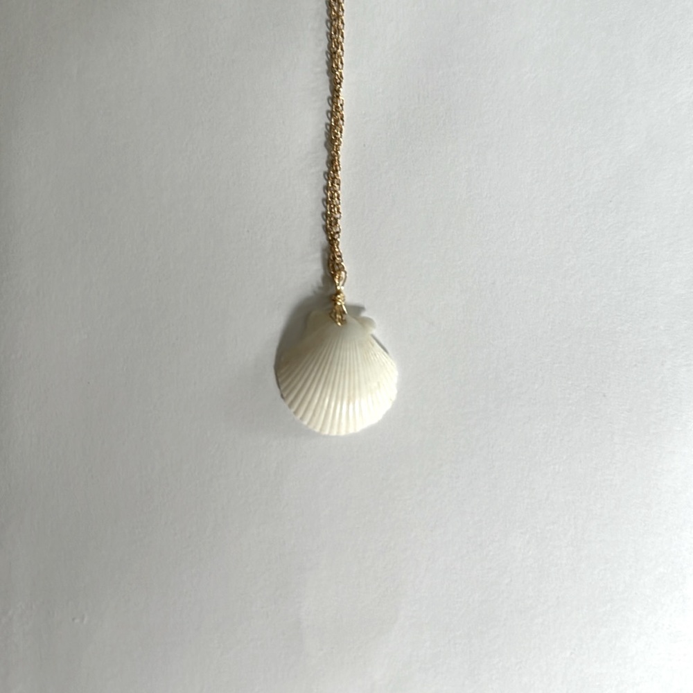 White seashell necklace